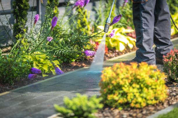 Professional Pressure Washing Services in Warren, MI