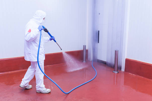 Best Building Exterior Washing  in Warren, MI